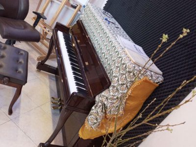 آموزش و تدریس خصوصی پیانو، سلفژ، تئوری موسیقی در شیراز